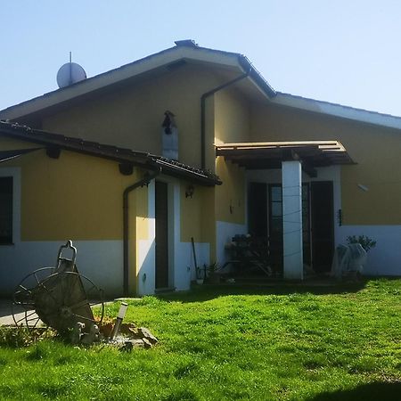Residence Villa Ungaretti Лукка Екстер'єр фото